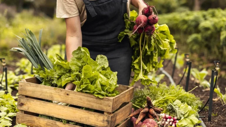 Les 11 Plus Grands Rappels Alimentaires de l&rsquo;Histoire