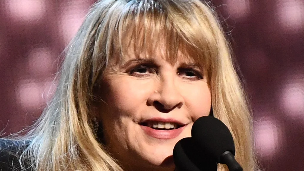 Pourquoi Stevie Nicks n'a pas eu d'enfants - Les raisons dévoilées