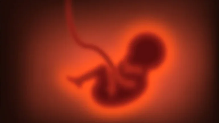 Les Dangers Méconnus de la Consanguinité Sur le Corps Humain
