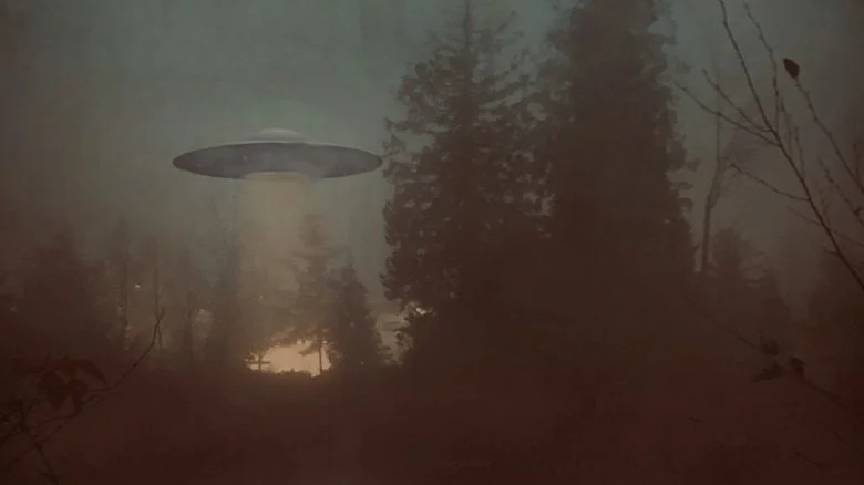 UFO above forest in twilight