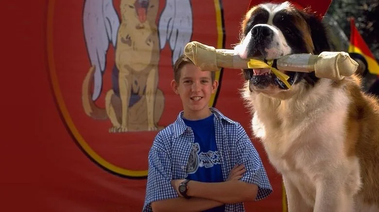 Pichler et le Saint-Bernard