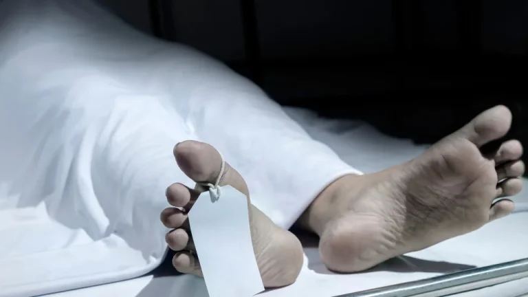 Découvrons pourquoi les corps morts émettent parfois des sons étonnants