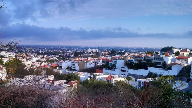 Détails troublants sur Ismael El Mayo Zambada et le cartel de Sinaloa