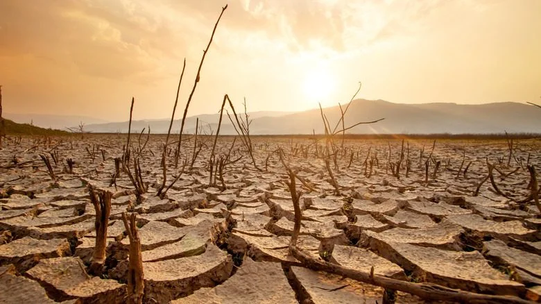 lacs asséchés sécheresse