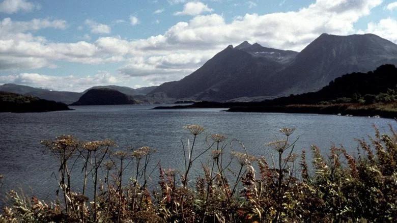 Kodiak National Wildlife Preserve view