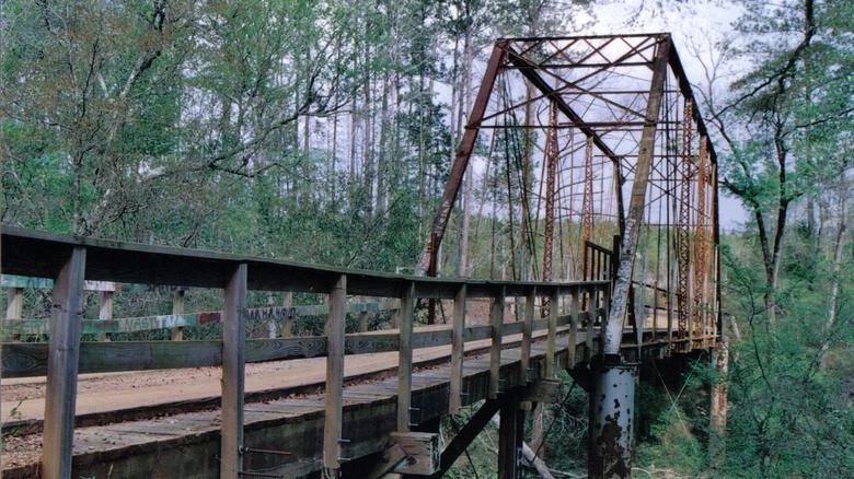 Pont en bois et métal, canopée d'arbres