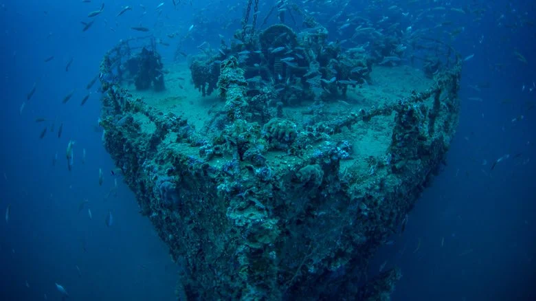 Épave datant de la Seconde Guerre mondiale dans l'océan