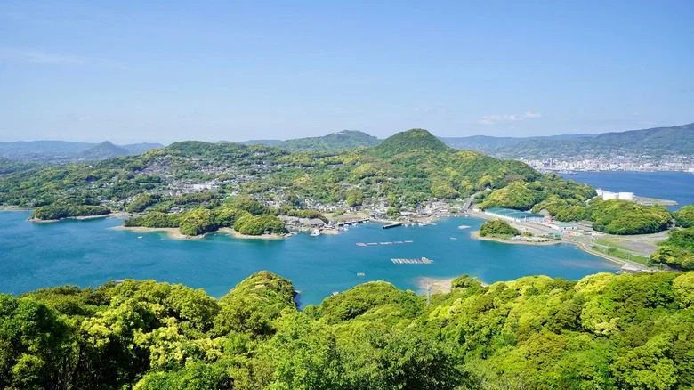 Restes squelettiques humains