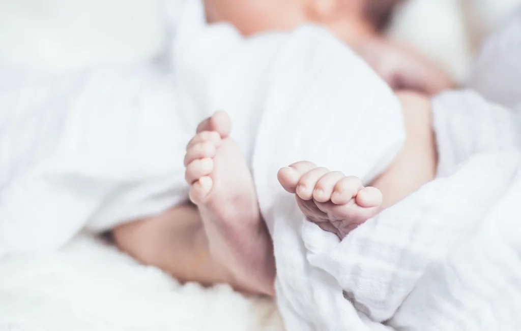 Ain : Un nourrisson de 5 jours meurt mordé par le chien de sa grand-mère