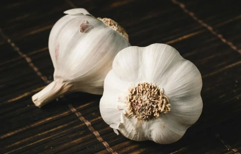 Bienfaits de l&rsquo;ail : un allié naturel pour votre santé et votre bien-être