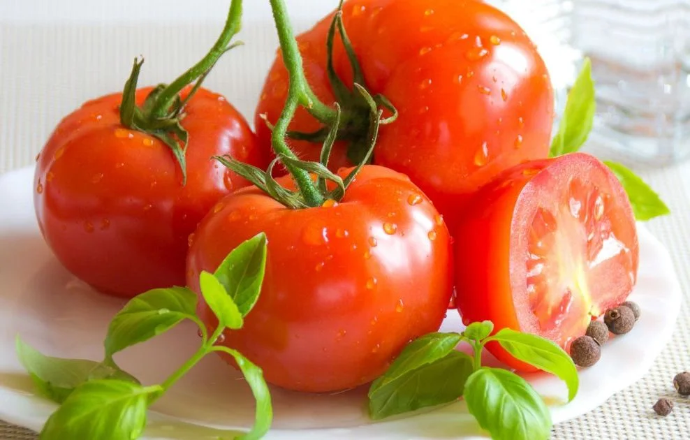 Bienfaits surprenants de la tomate pour votre santé et votre bien-être