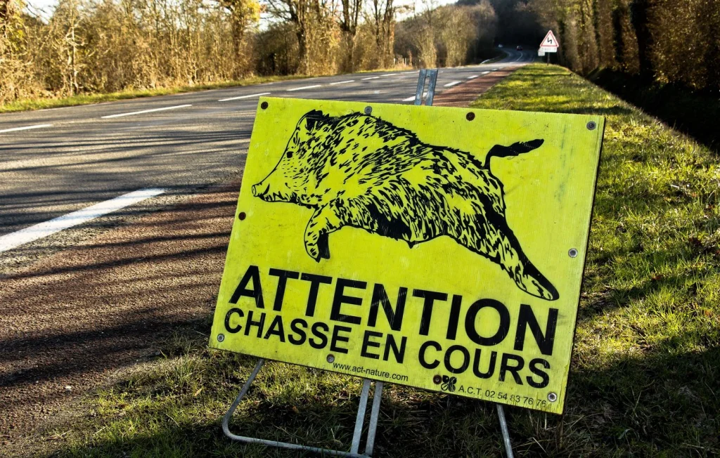 Chasseur tué par balle en battue au sanglier dans le Gard : un accident tragique