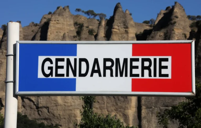 Découverte macabre en Ariège : des vacanciers trouvent un charnier d&rsquo;ovins