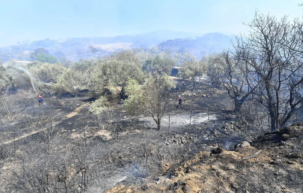 Incendie nocturne dans les Pyrénées-Orientales : intervention des pompiers