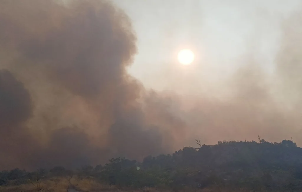 Incendies en Occitanie : 1000 pompiers mobilisés dans l'Hérault et les Pyrénées-Orientales