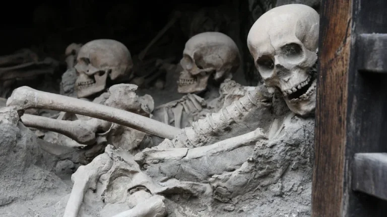 Les Destins des Corps de la Ville Herculaneum Suite à l&rsquo;Éruption