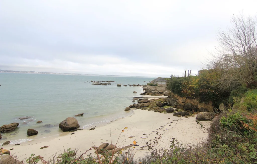 Mystère des congres échoués en Bretagne : explications révélées