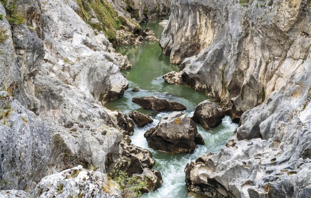 Noyade tragique à Saint-Jean-de-Fos : un homme de 24 ans se noie en sautant