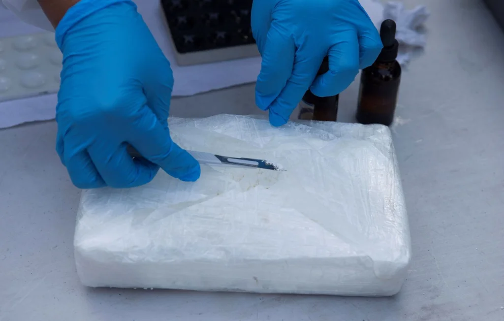 Record de saisie : 10 tonnes de cocaïne en Martinique, une victoire contre le trafic