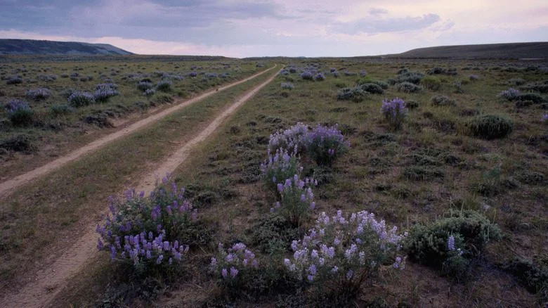 Wyoming Oregon Trail path