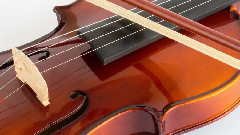 fiddle violin strings bow