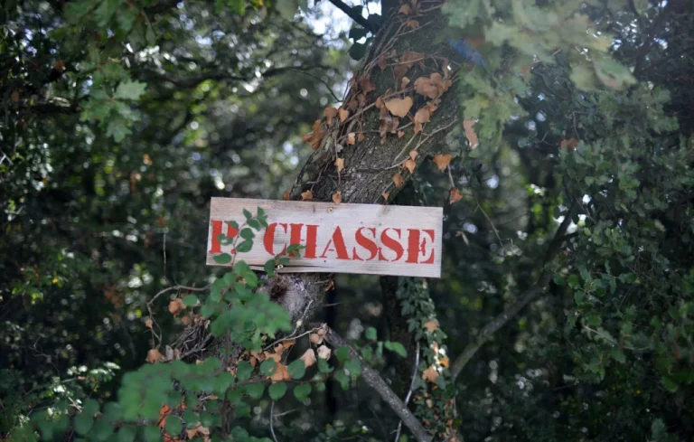 Accidents de chasse en Drôme : une ouverture marquée par la violence