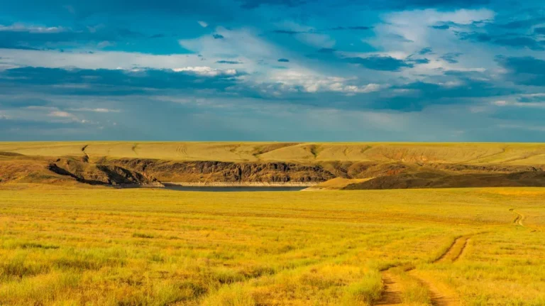 Catastrophe au Kazakhstan entre politiques gouvernementales et environnement