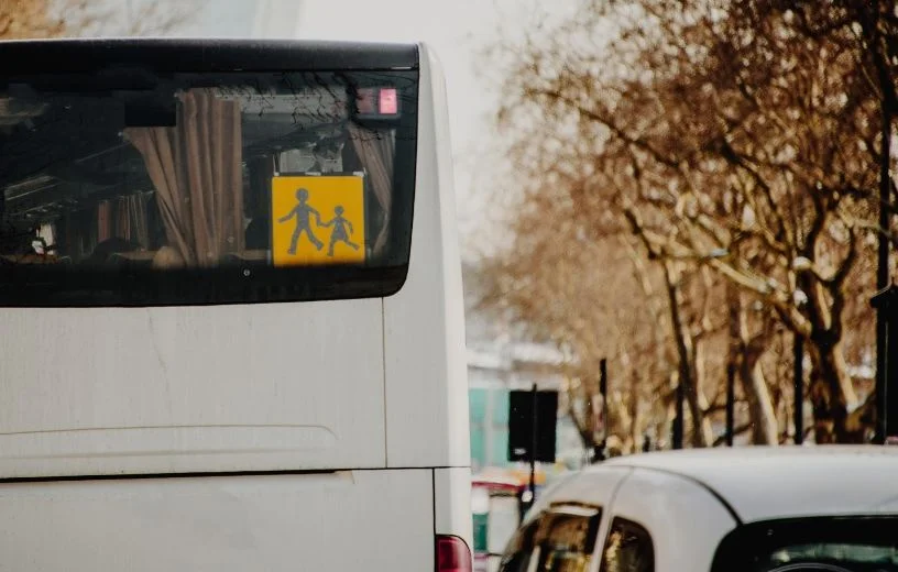 Invasion de tigres du platane dans les bus scolaires des Deux-Sèvres