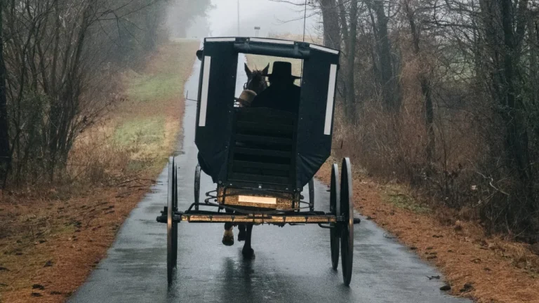 La vérité cachée sur la mafia amish de Pennsylvanie