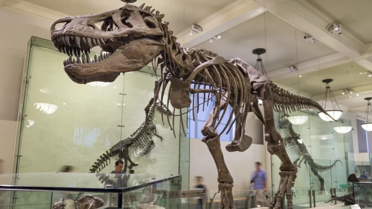 5 Animaux Préhistoriques Terrifiants Qui Ont Disparu