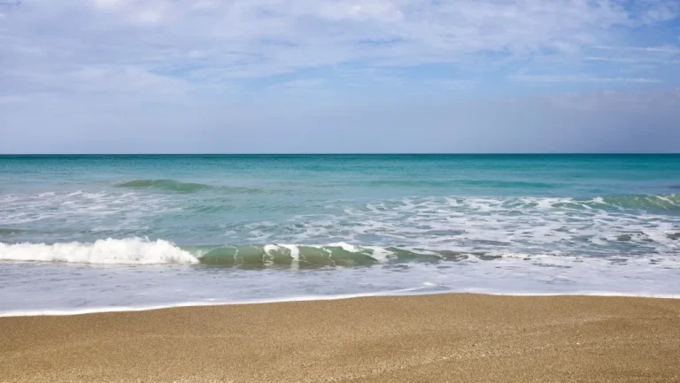 À la recherche des trésors perdus sur les plages de Floride