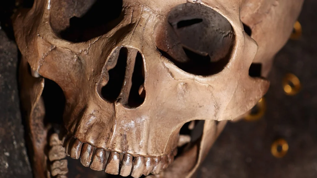 Découvertes Archéologiques Récentes Qui Ont Changé l'Histoire