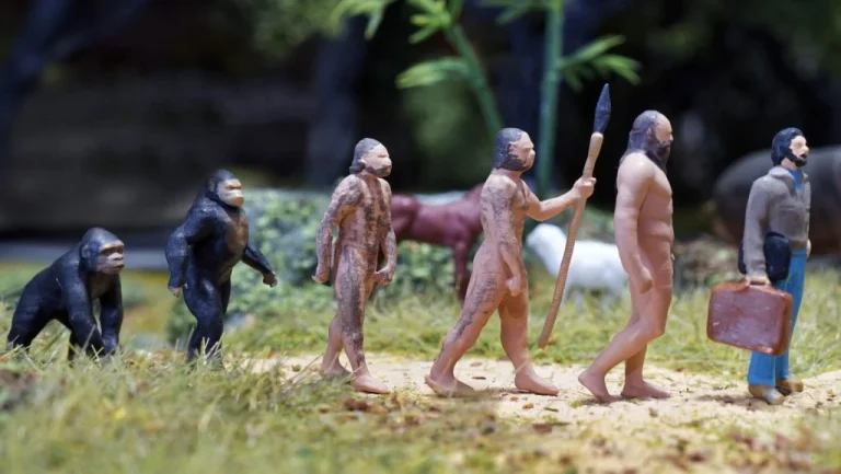 L&rsquo;Histoire de la Marche : Évolution et Origines
