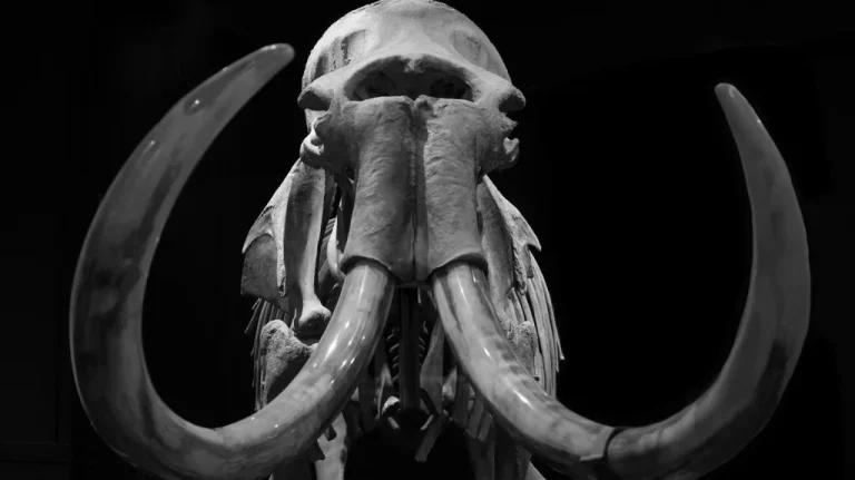 La Dé-Extinction : Un Retour à la Vie pour les Espèces Éteintes ?