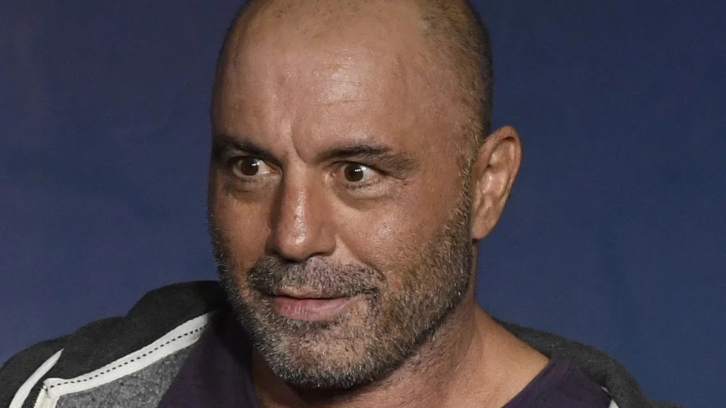 Pourquoi Joe Rogan est crucial pour Spotify : Analyse approfondie