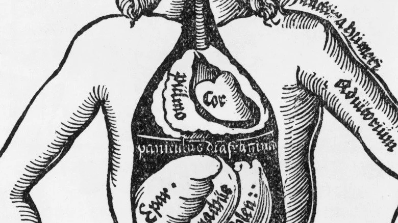 Illustration anatomique médiévale