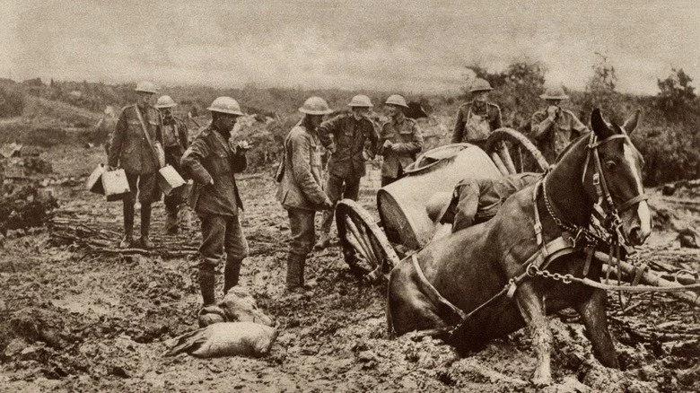 Bataille de la Première Guerre mondiale en Flandre, avec un cheval dans la boue jusqu’aux genoux.