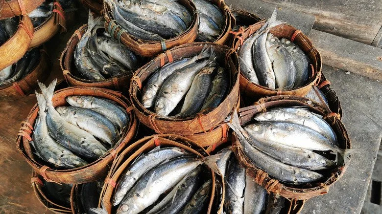 Mackerel for sale in baskets