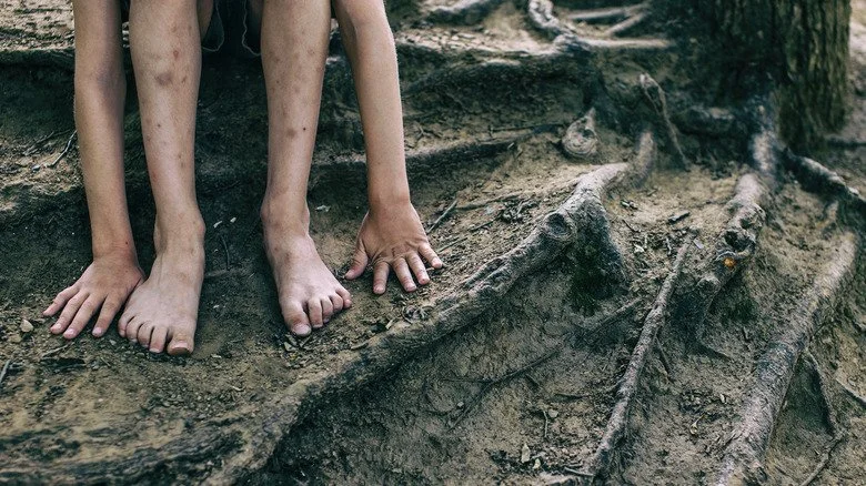 Victor d'Aveyron, l'enfant sauvage