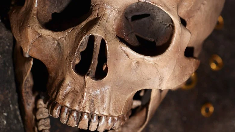 Néandertalien avec un ordinateur