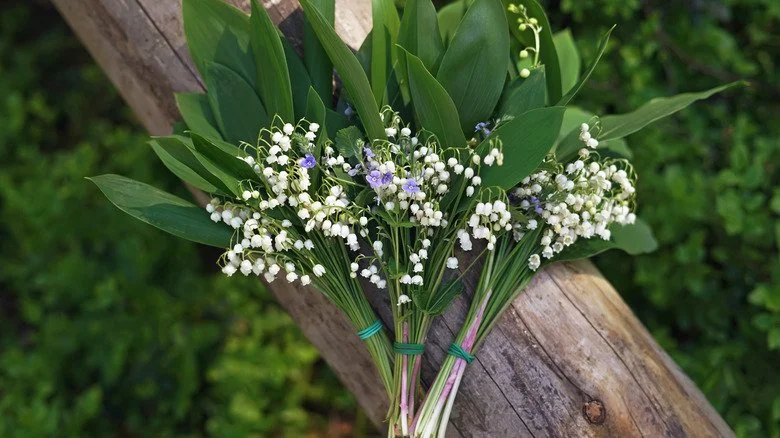 bouquets de muguet