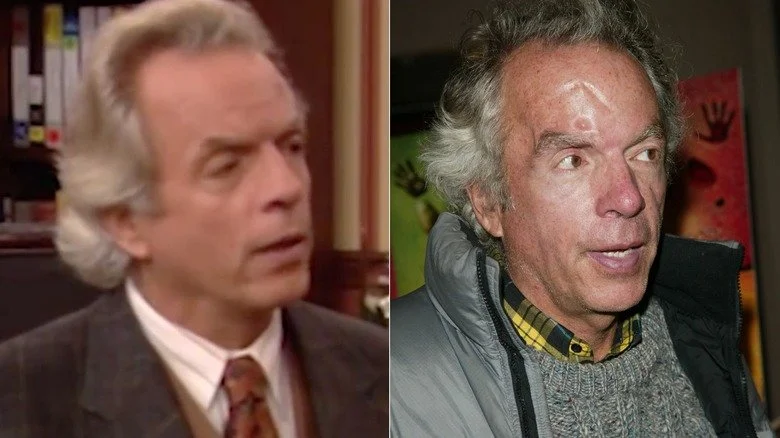 Spalding Gray dans 'The Nanny'