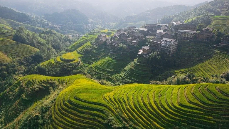 Vue aérienne des terrasses de riz en Chine