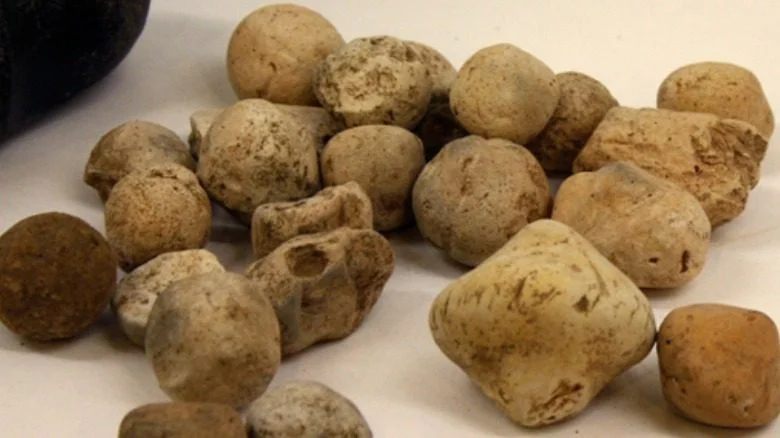 Objets de Poverty Point