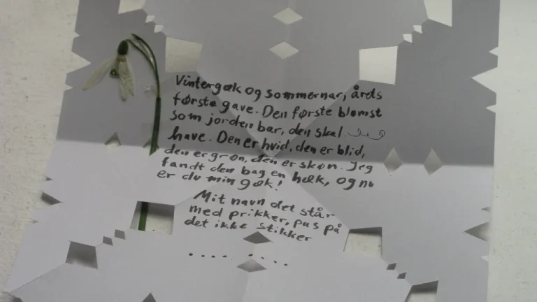 Comment le Danemark Célébre la Saint-Valentin