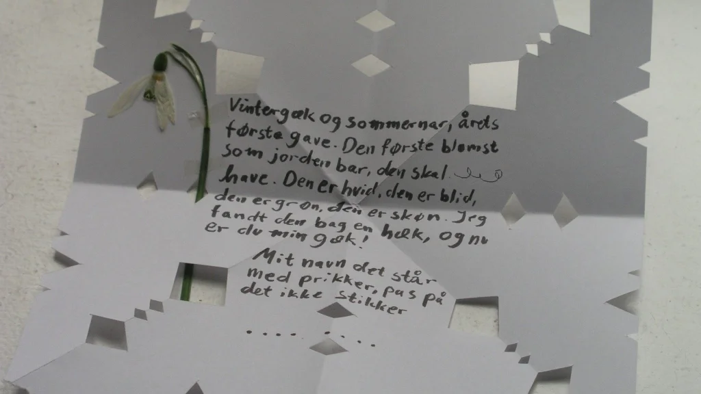 Comment le Danemark Célébre la Saint-Valentin