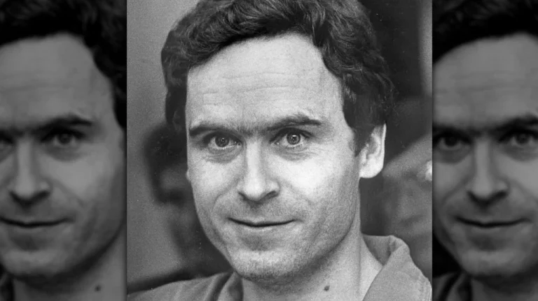 L&rsquo;Histoire Sordide de la Voiture de Ted Bundy