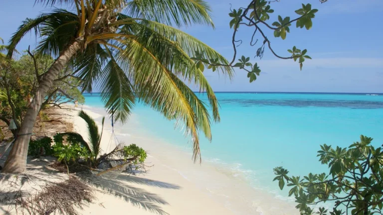 L&rsquo;île de Bikini Atoll : un héritage nucléaire dangereux