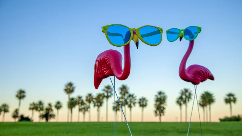 La loi étrange sur le fromage cottage à Tampa, Floride