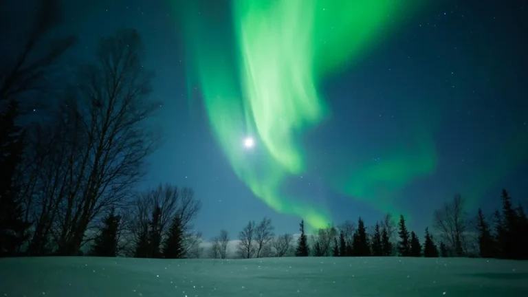 Pourquoi la Neige Brillante du Grand Nord Fascine les Chercheurs